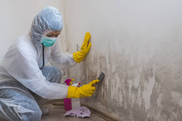 Best Home Mold Removal  in Dunnstown, PA