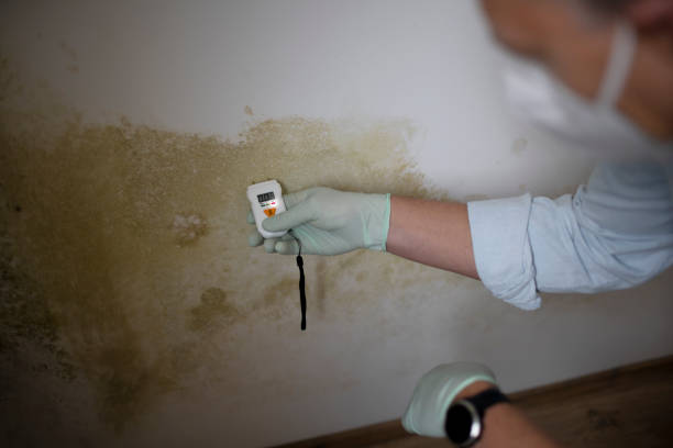 Best Office Mold Removal Services  in Dunnstown, PA