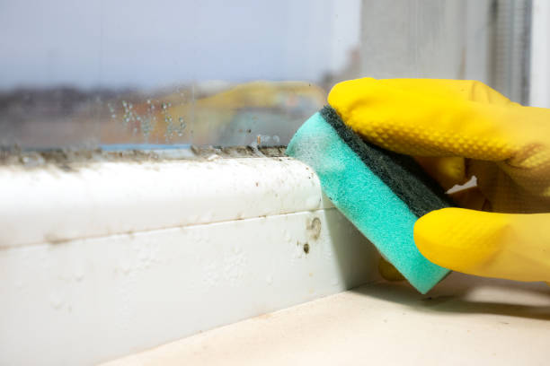Best Residential Mold Removal  in Dunnstown, PA