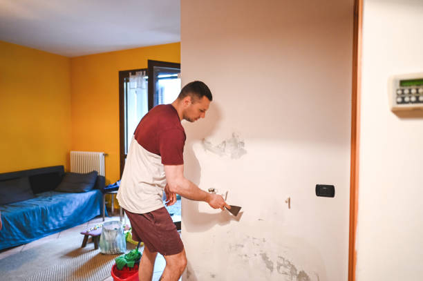 Best Mold Remediation Services  in Dunnstown, PA