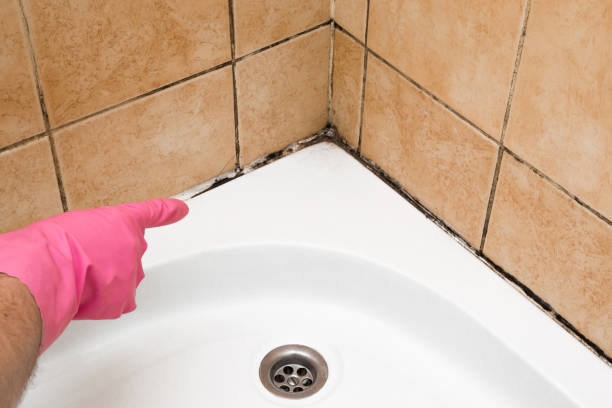 Best Mold Remediation  in Dunnstown, PA
